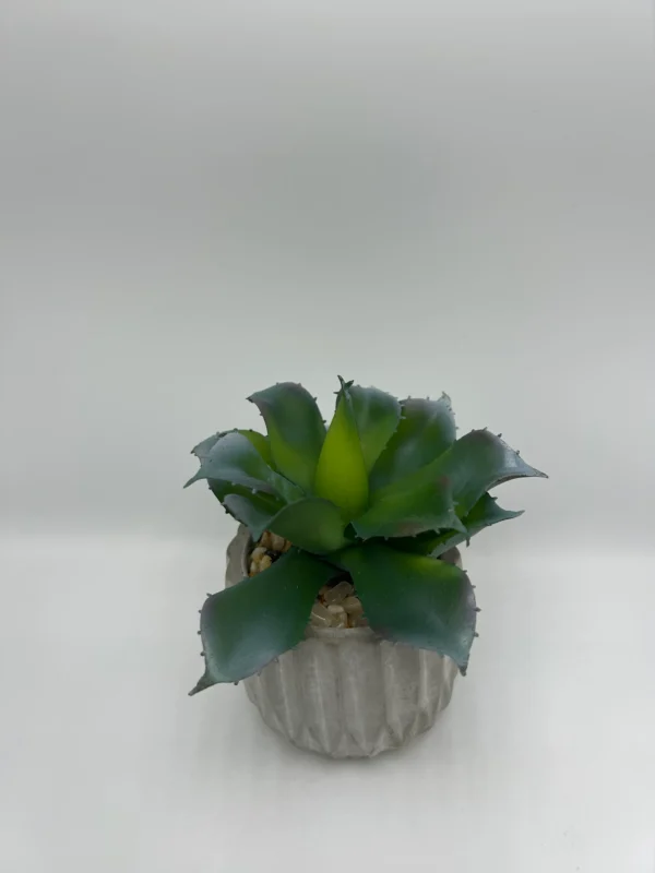 Suculenta artificial (10)