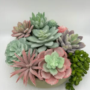 Suculenta artificial (2)