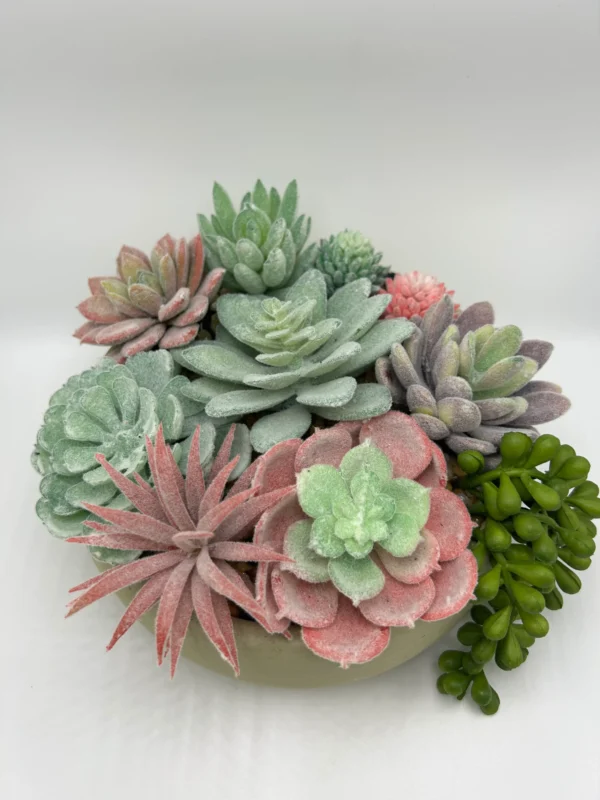 Suculenta artificial (2)
