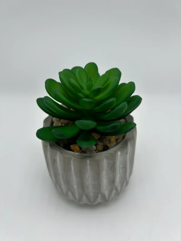 Suculenta artificial (3)