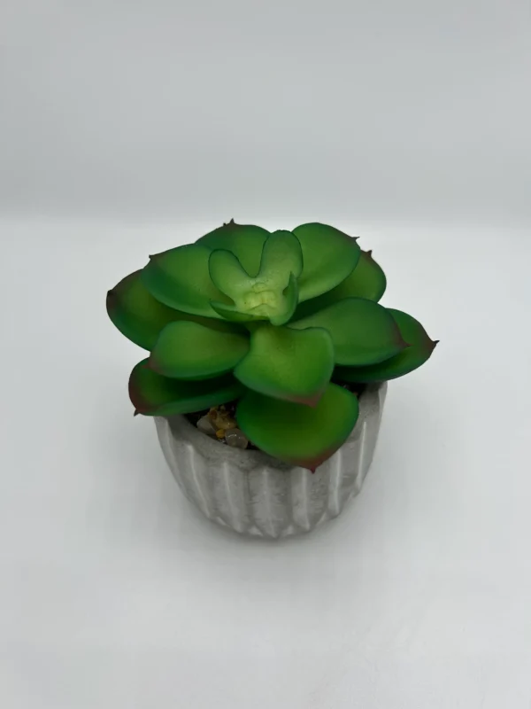 Suculenta artificial (5)