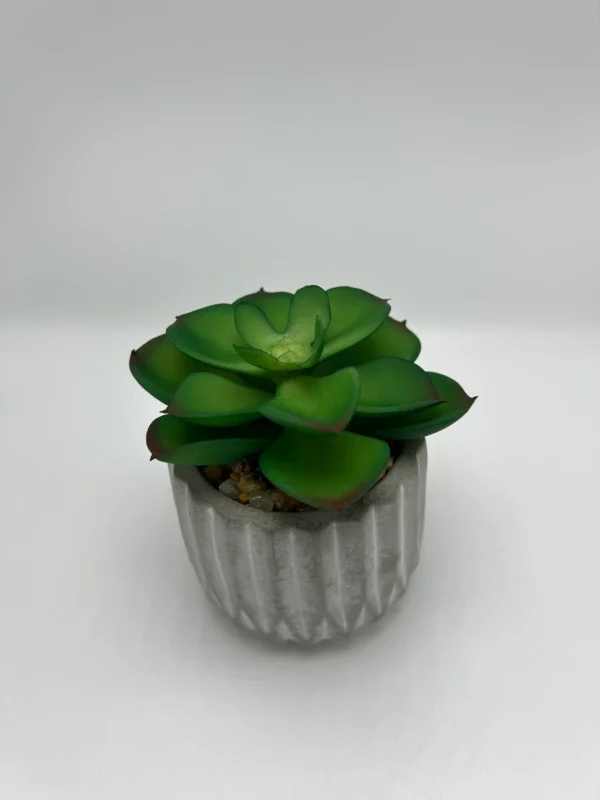 Suculenta artificial (6)