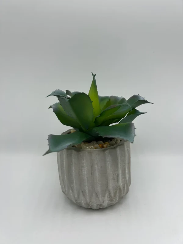 Suculenta artificial (9)