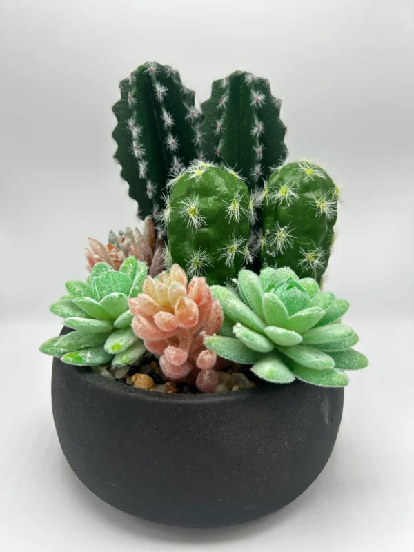 pequeñas plantas falsas