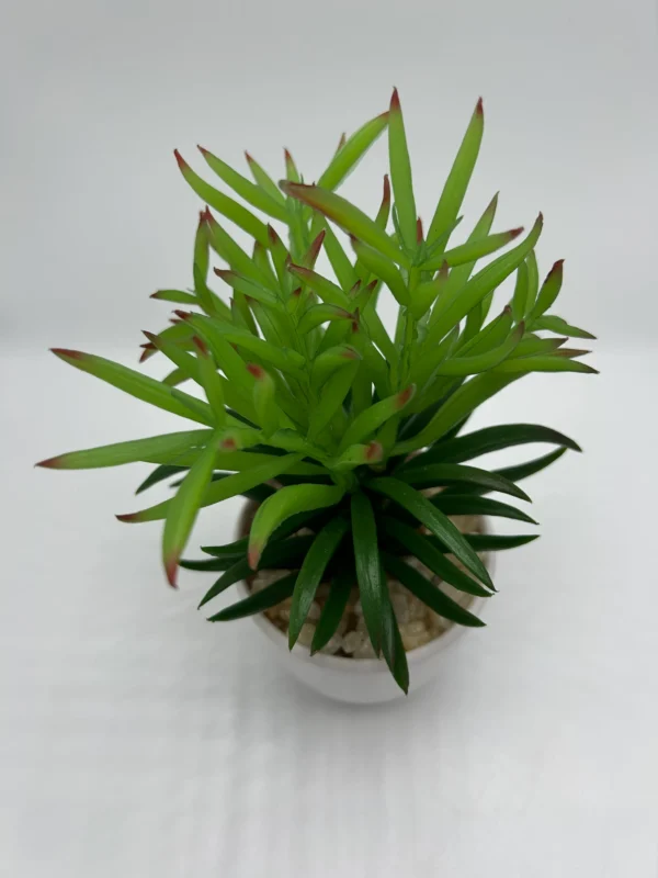 planta artificial