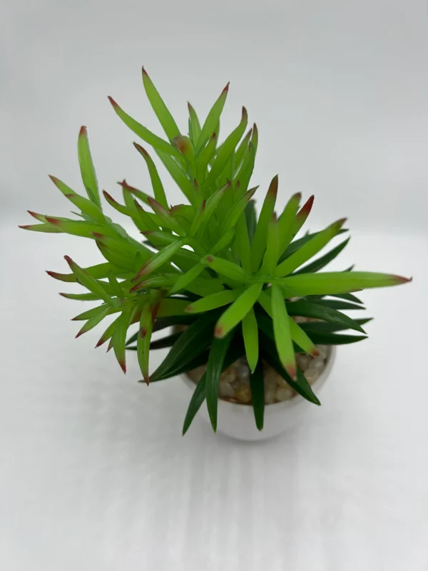 planta artificial (2)