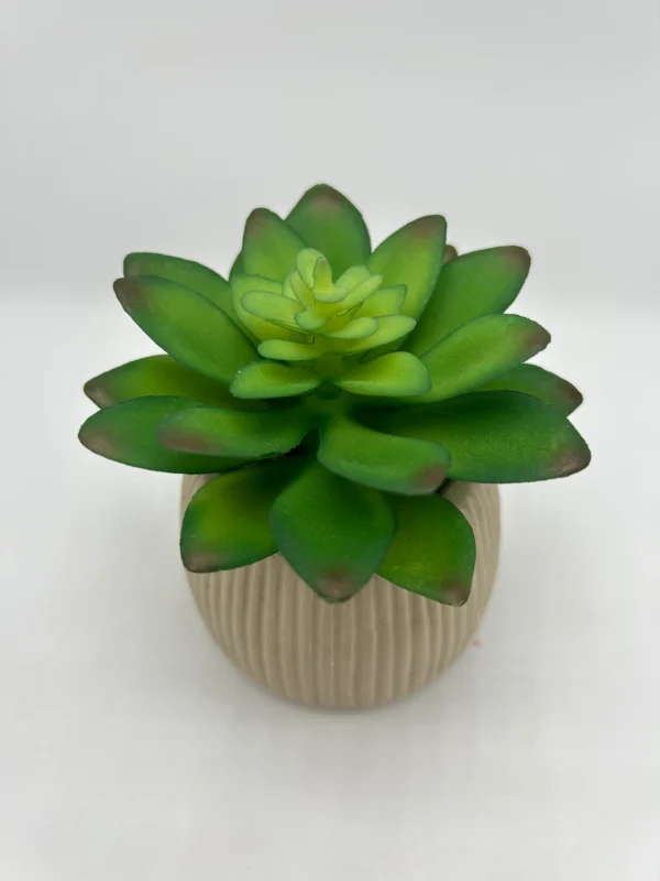 planta artificial