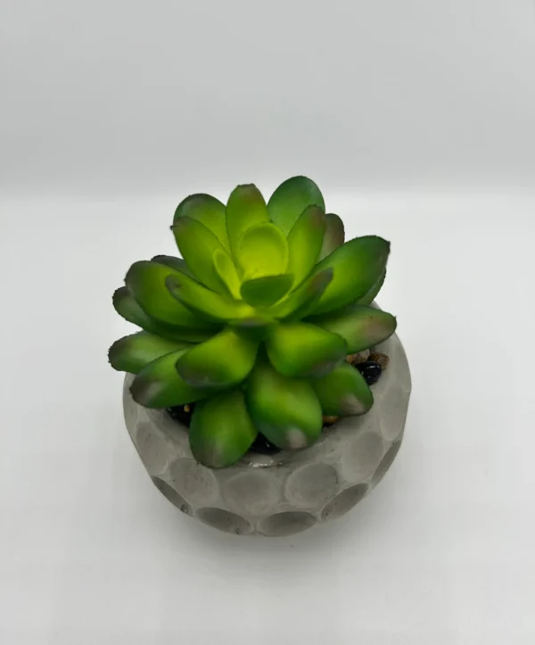 plantas artificiales con maceta
