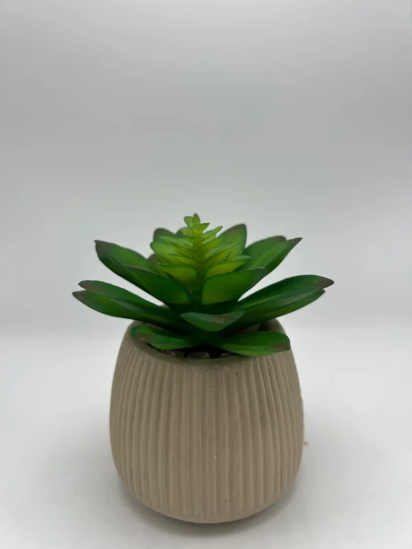 plantas artificiales para interior