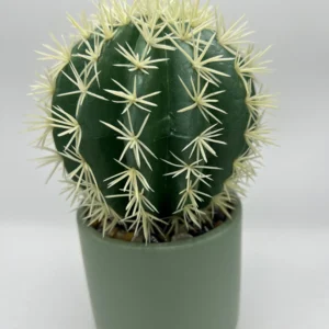 tallo de cactus