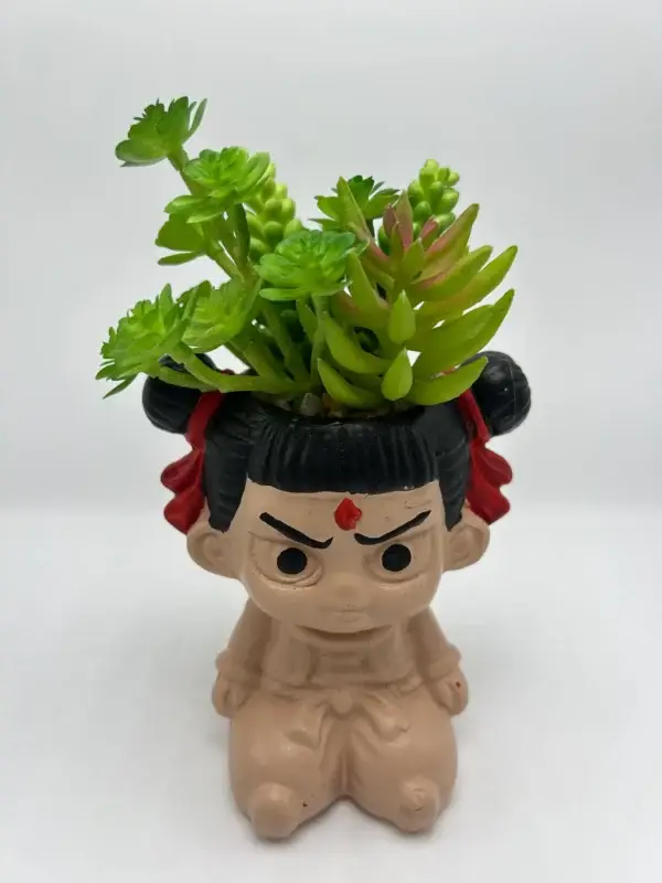 Indoor decorative planter