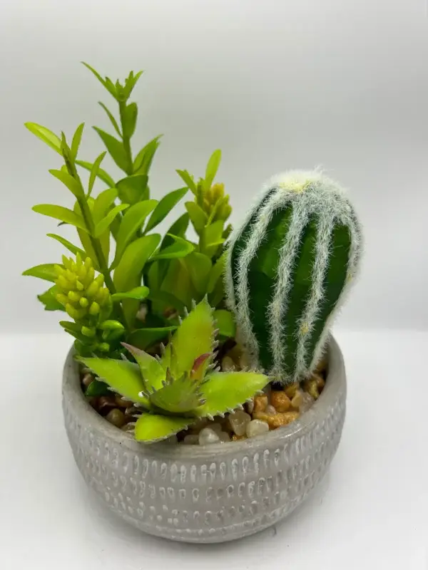 cactus artificiales