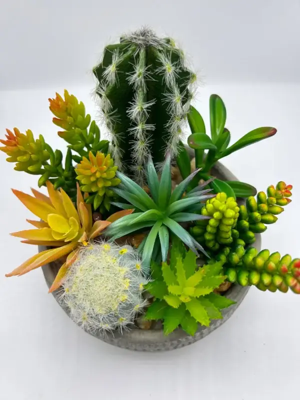 cactus pequeños artificiales